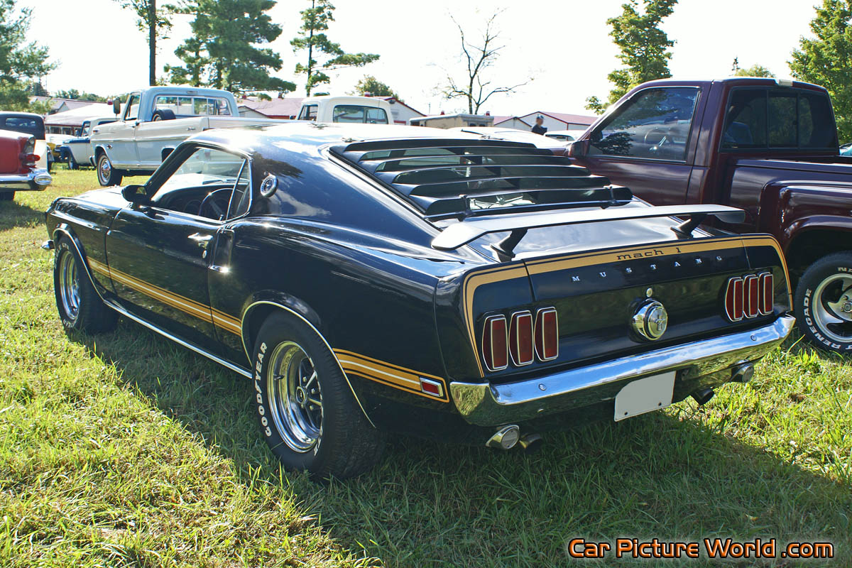 1969 Mustang Mach 1 Rear Left Picture