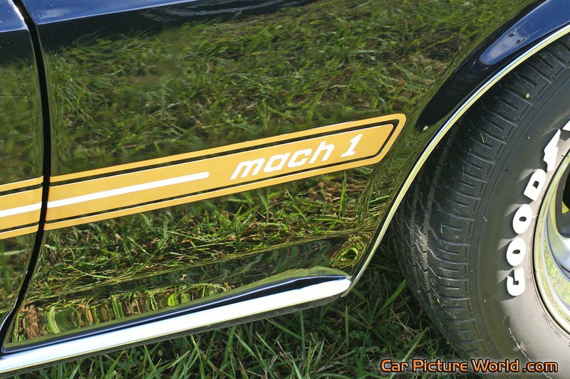 1969 Mustang Mach 1 Side Stripe