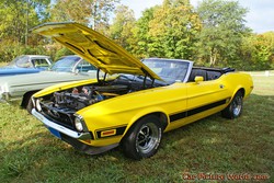 1971 Mustang Pictures
