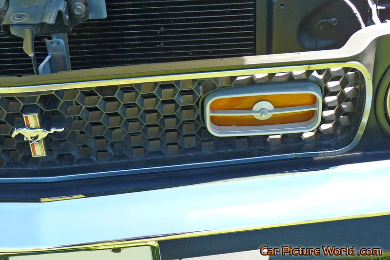 1972 Mustang Mach 1 Front Signal