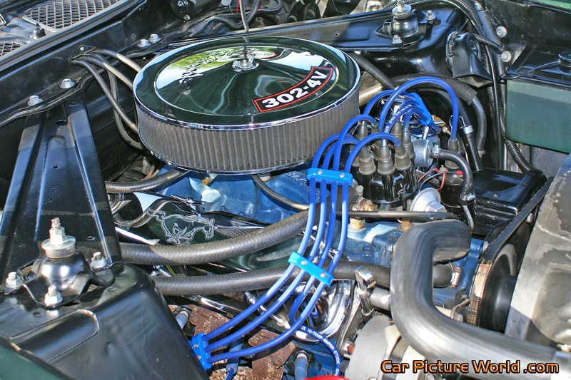 1973 Mustang Fastback Engine