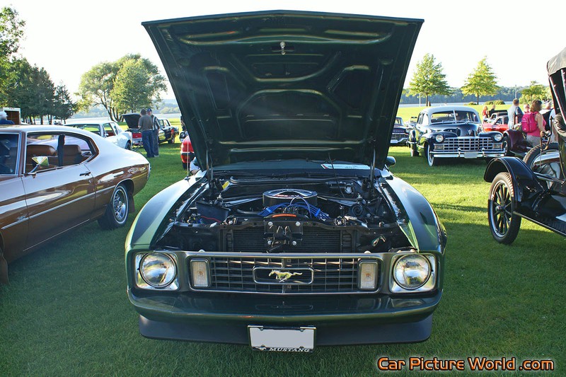 1973 Mustang Fastback Front