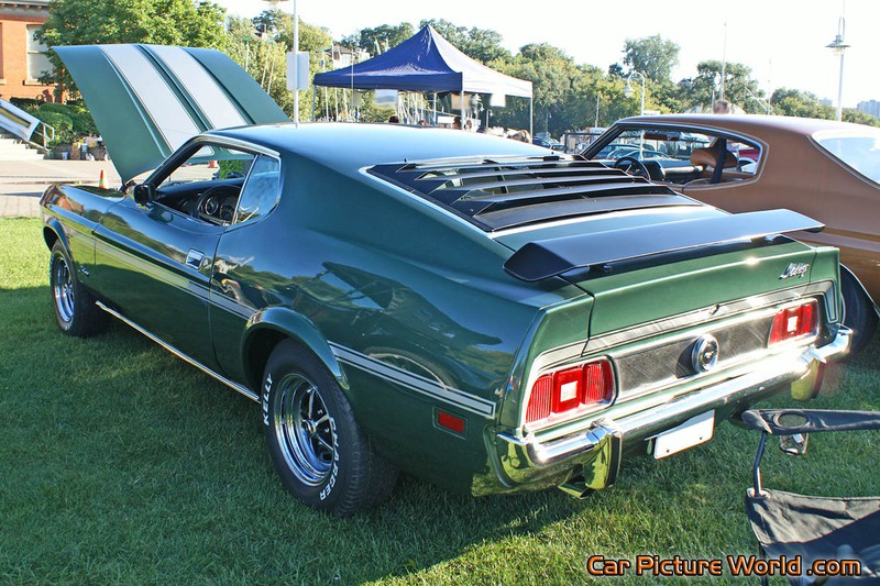 1973 Mustang Fastback Rear Left