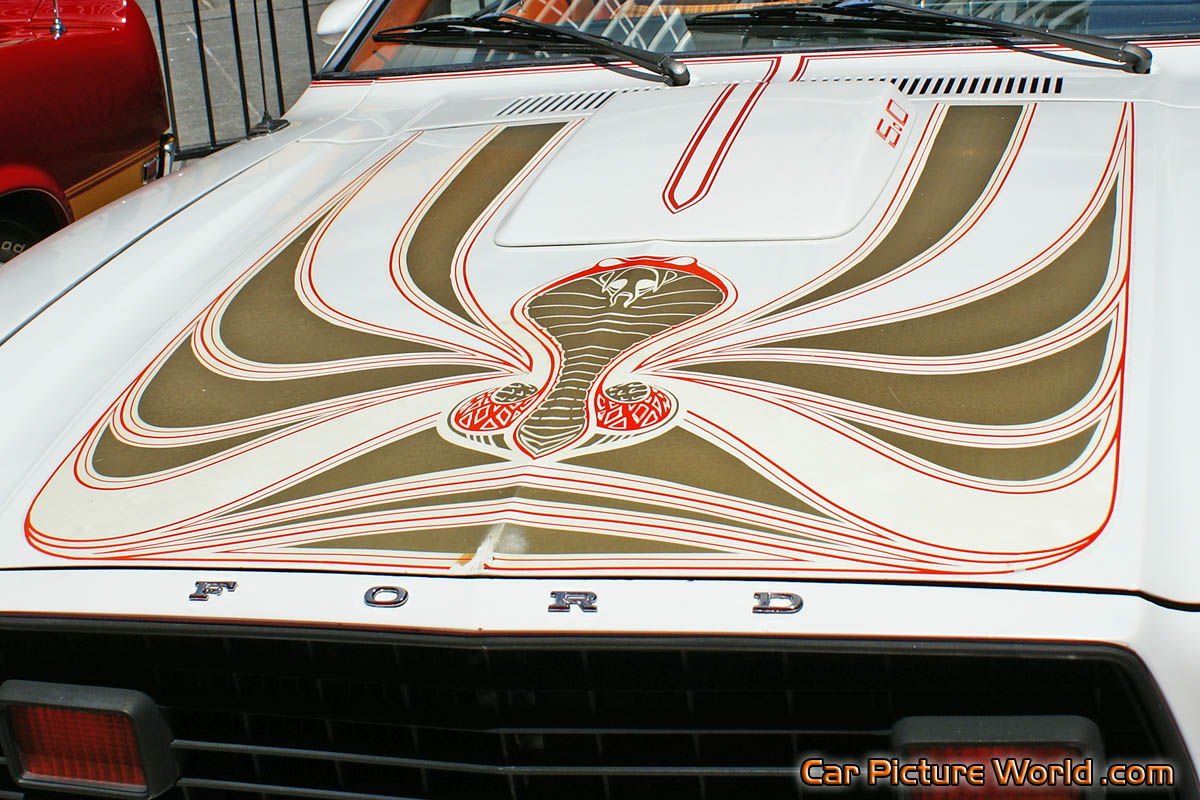 1978 Mustang King Cobra Hood Decal