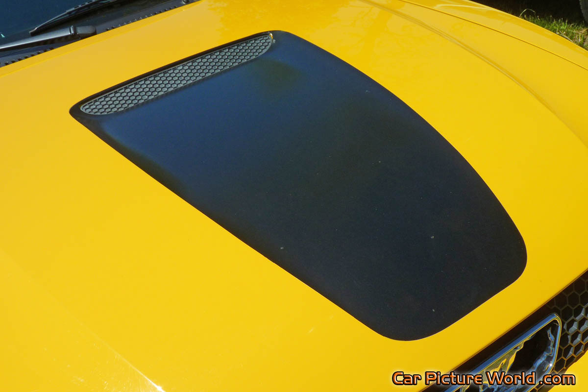 1999 Mustang GT Convertible Hood Picture