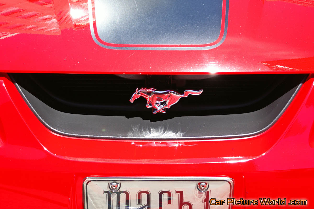 2003 Mustang Mach 1 Grill