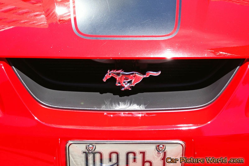 2003 Mustang Mach 1 Grill