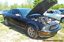 2005 Mustang Pictures