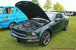 2008 Mustang Pictures