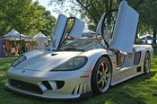 Saleen Pictures