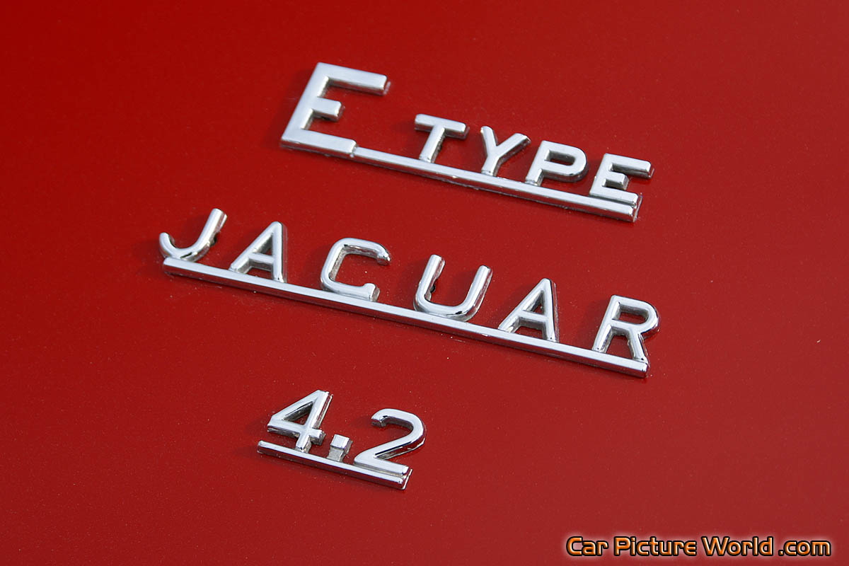 1969 Jaguar E-Type Convertible Rear Insignia