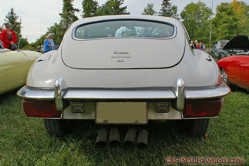 Jaguar E-Type Rear Low