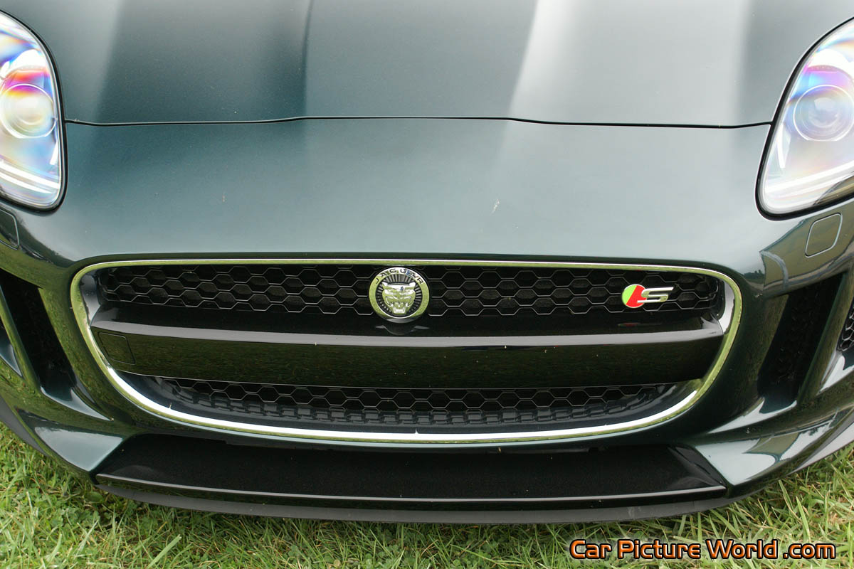 2014 Jaguar FType V8 S Grill Picture