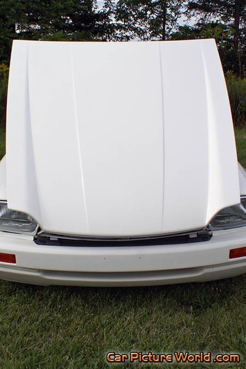 1983 Jaguar XJS TWR Hood
