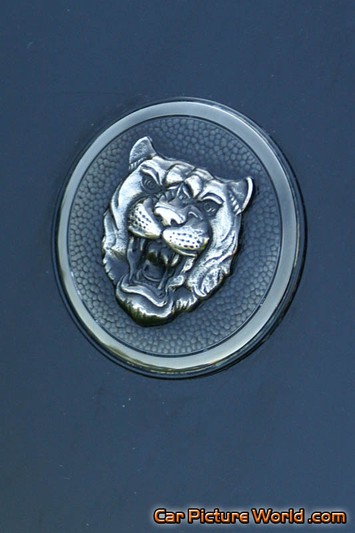 1994 Jaguar XJS Hood Badge