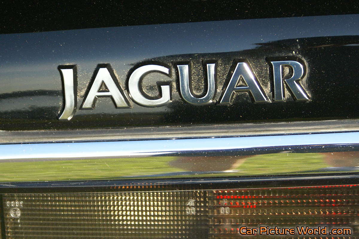 1994 Jaguar XJS Rear Logo