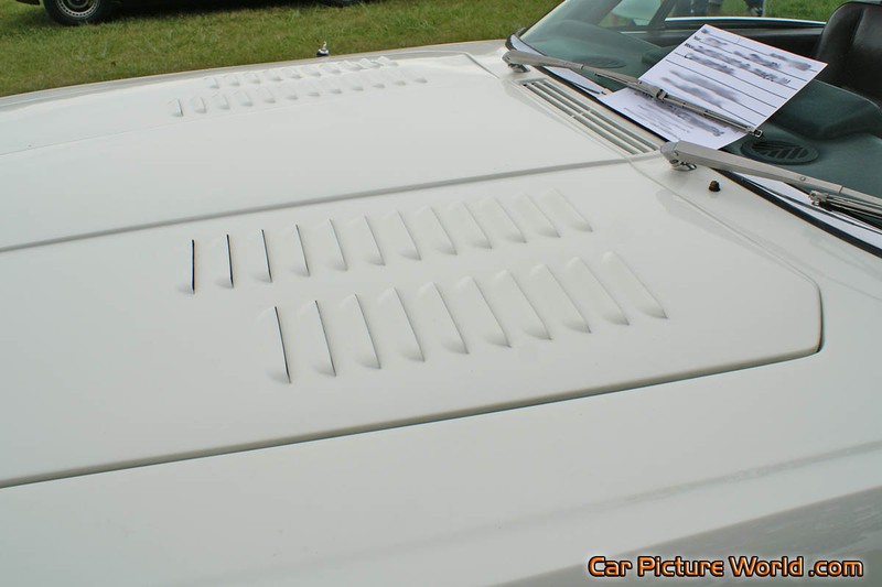 1975 Jensen Interceptor MKIII Convertible Hood Louvers