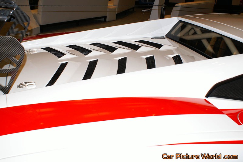 2013 Gallardo Super Trofeo Race Car Engine Cover