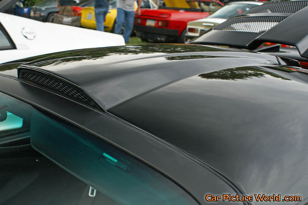 2010 Lotus Exige S Roof Scoop Picture