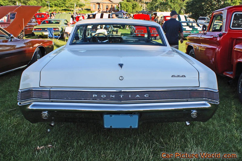 1965 GTO Rear