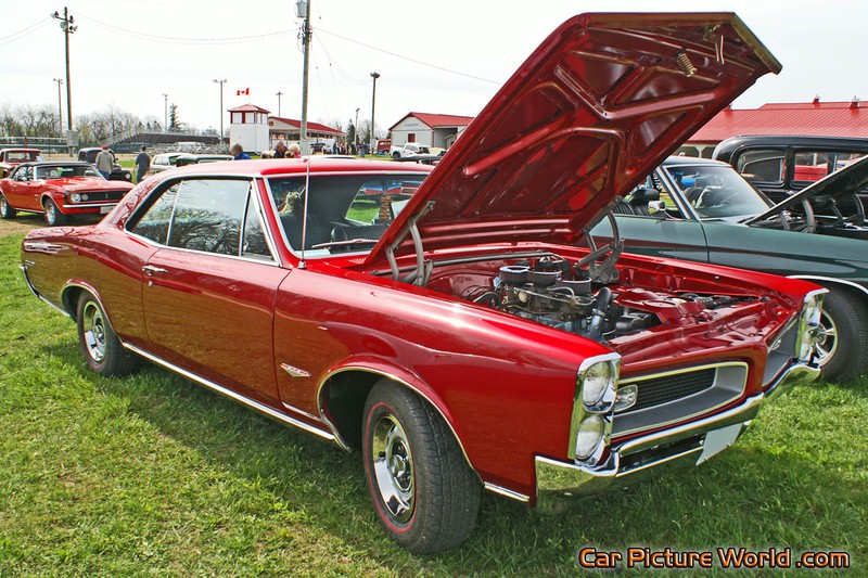 1966 GTO