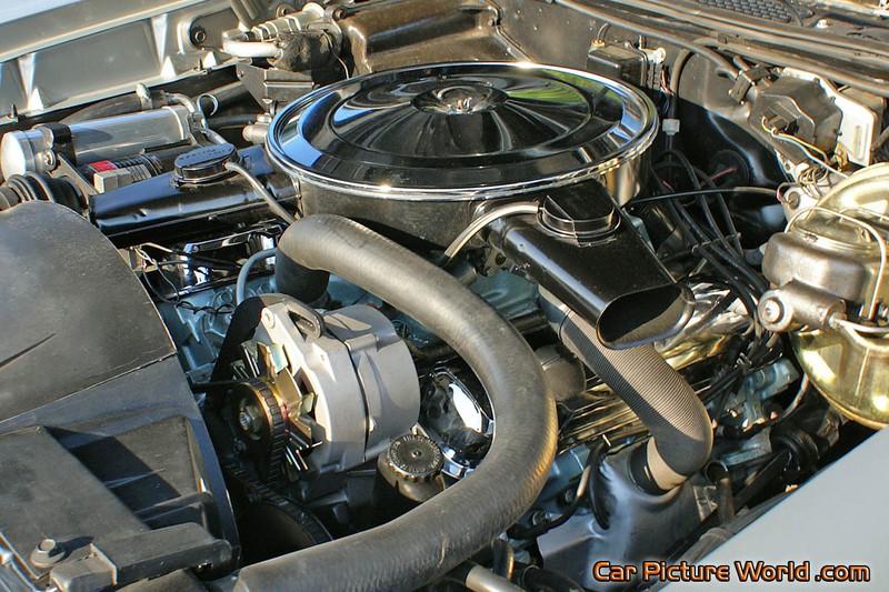 1969 GTO Engine